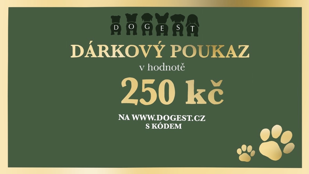 Dárkový poukaz DOGEST