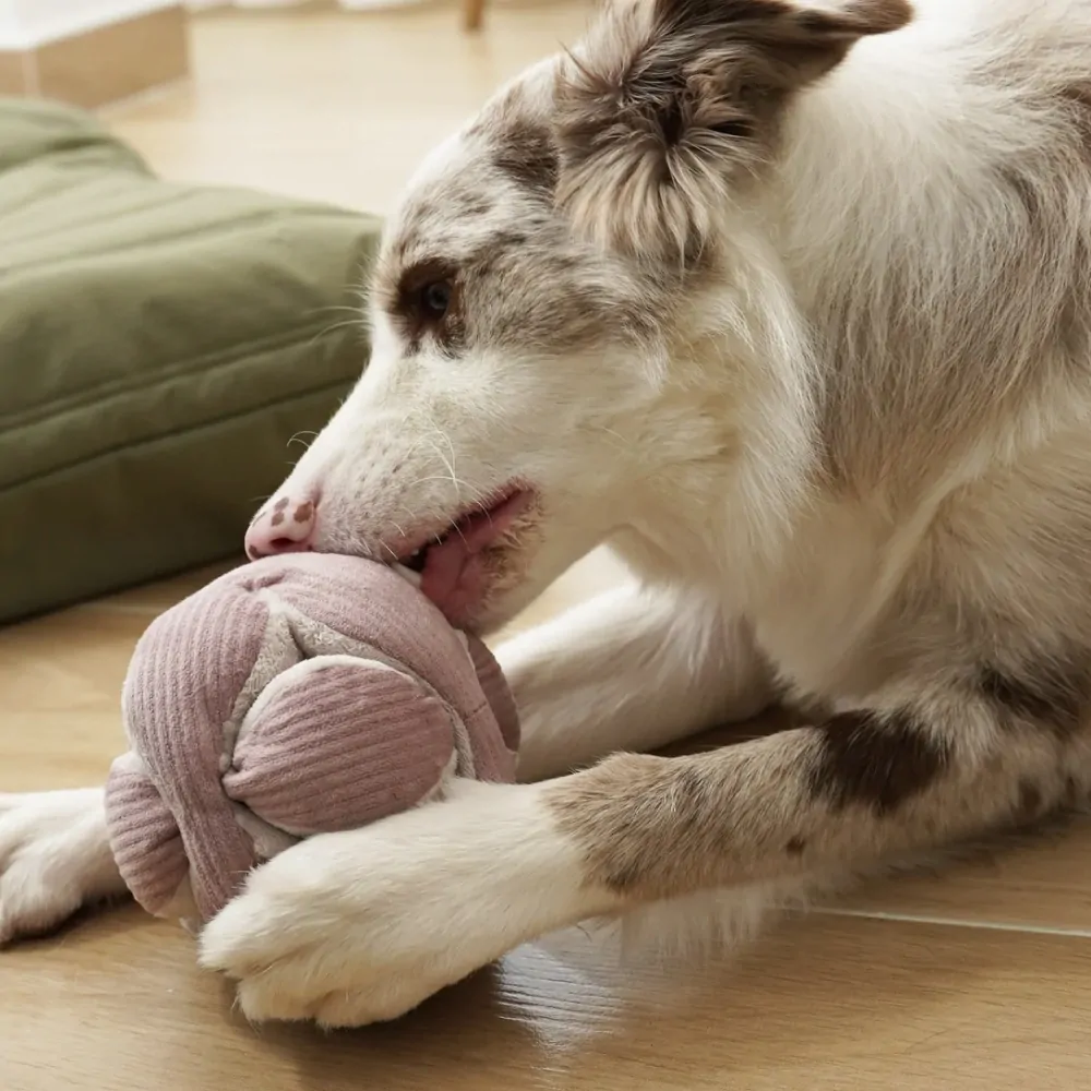 Lambwolf Interaktivní hračka pro psy Monti malá růžová