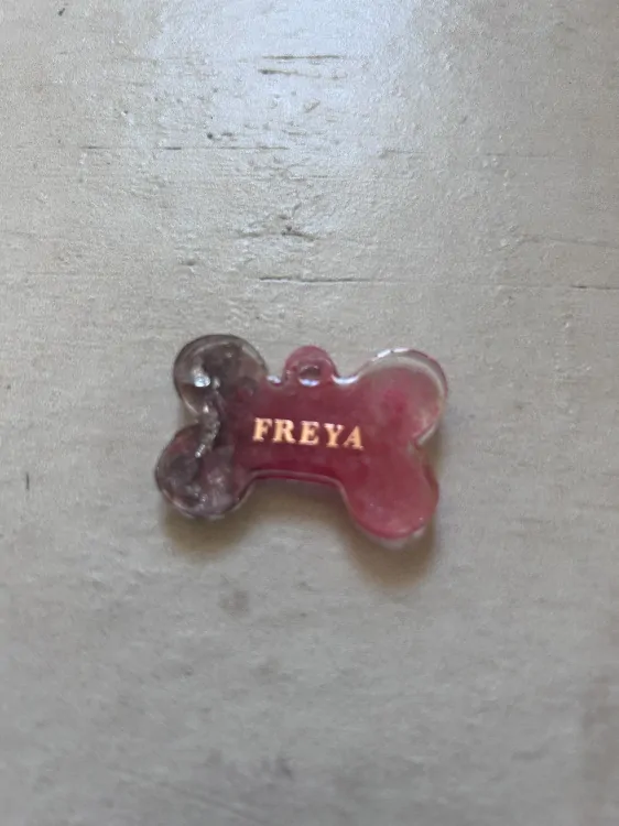 Psí známka se jménem psa Freya