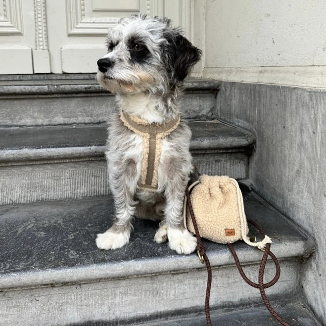 Drew’s Dogwear Pamlskovník Teddy