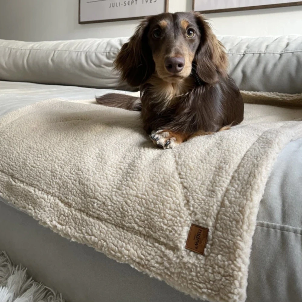 Drew’s Dogwear Měkká deka pro psy teddy fleece