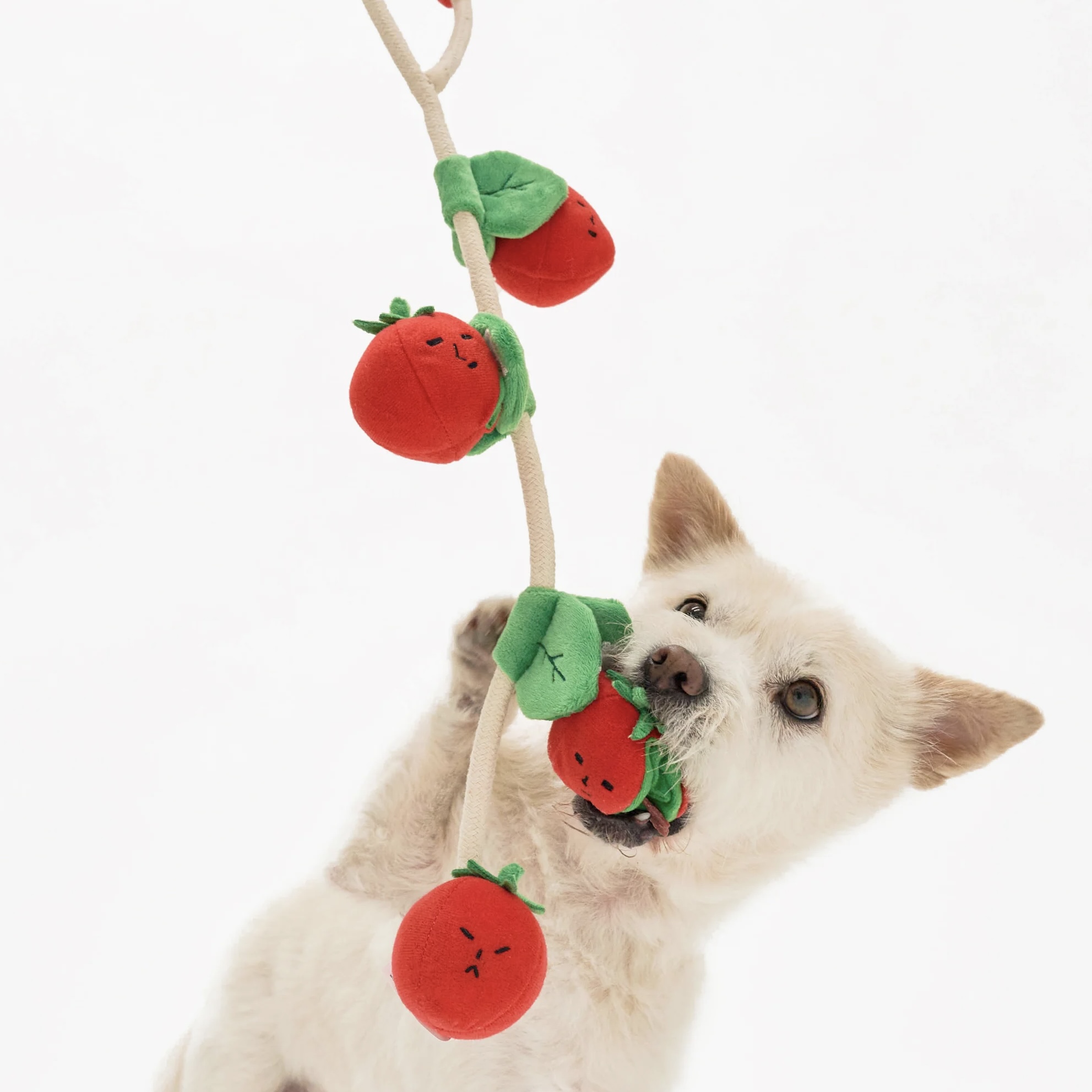 Furryfolks Interaktivní a provazová hračka pro psy Cherry rajčátka