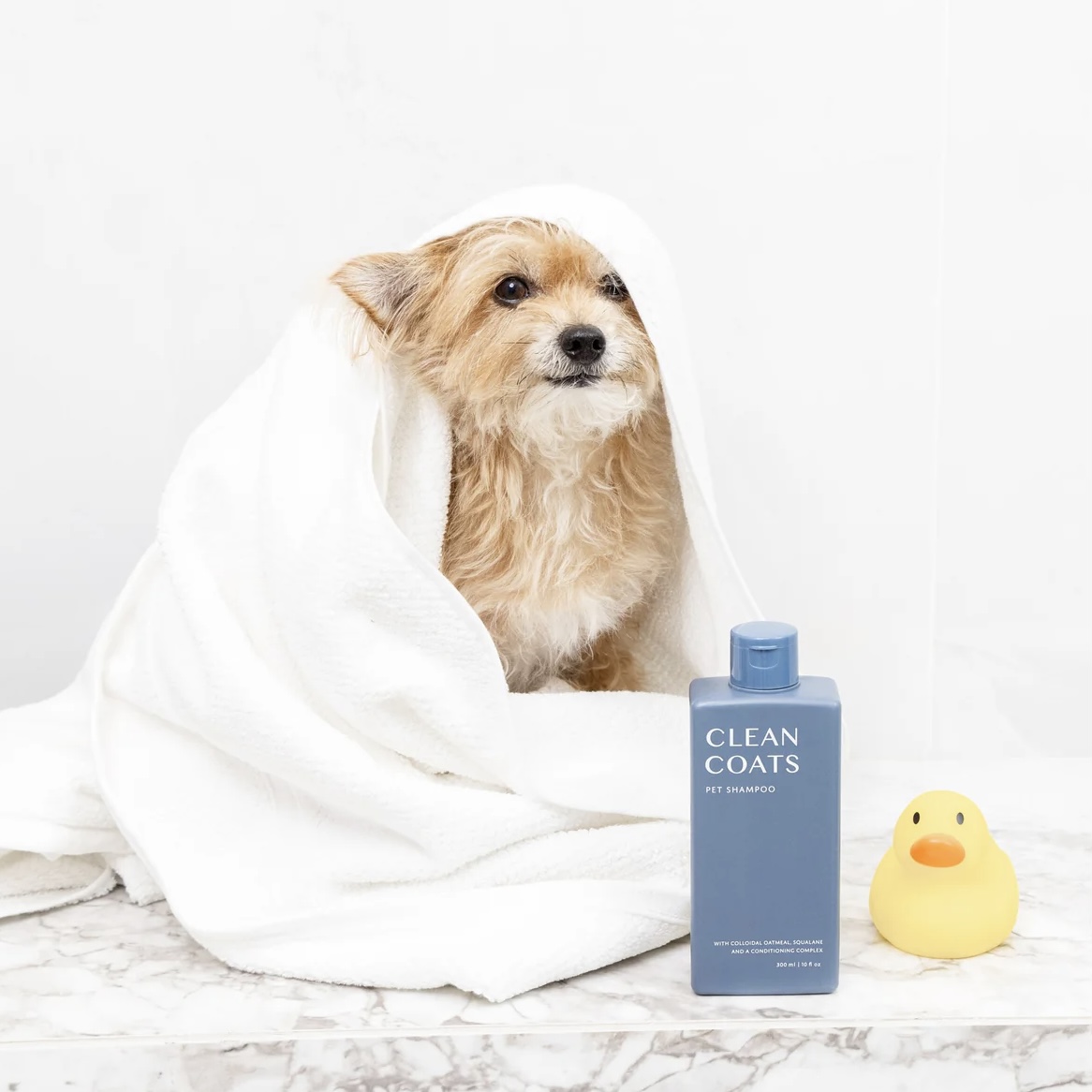 Clean coats Šampon pro psy