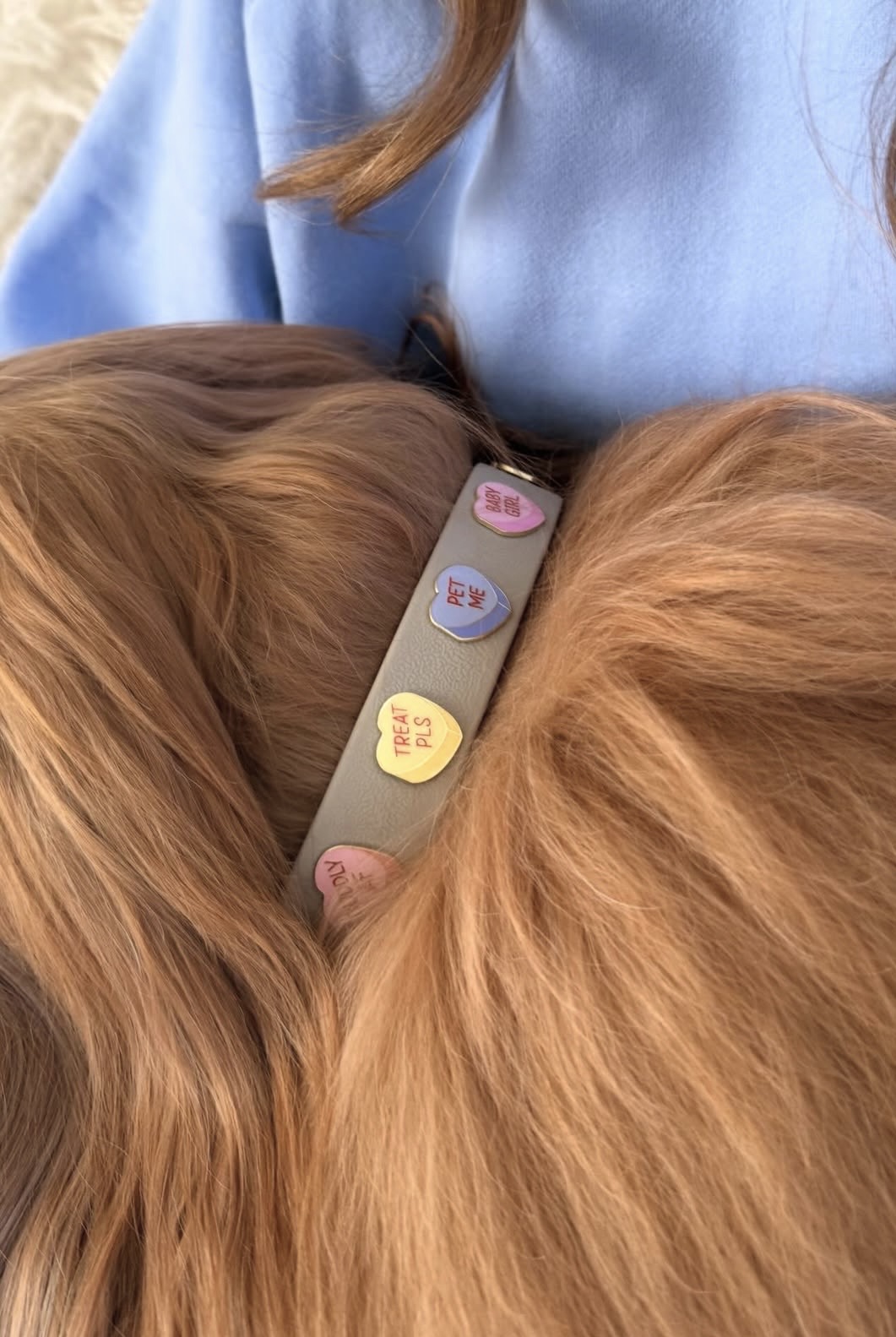Furei Charms na obojek pro psy Ledová káva