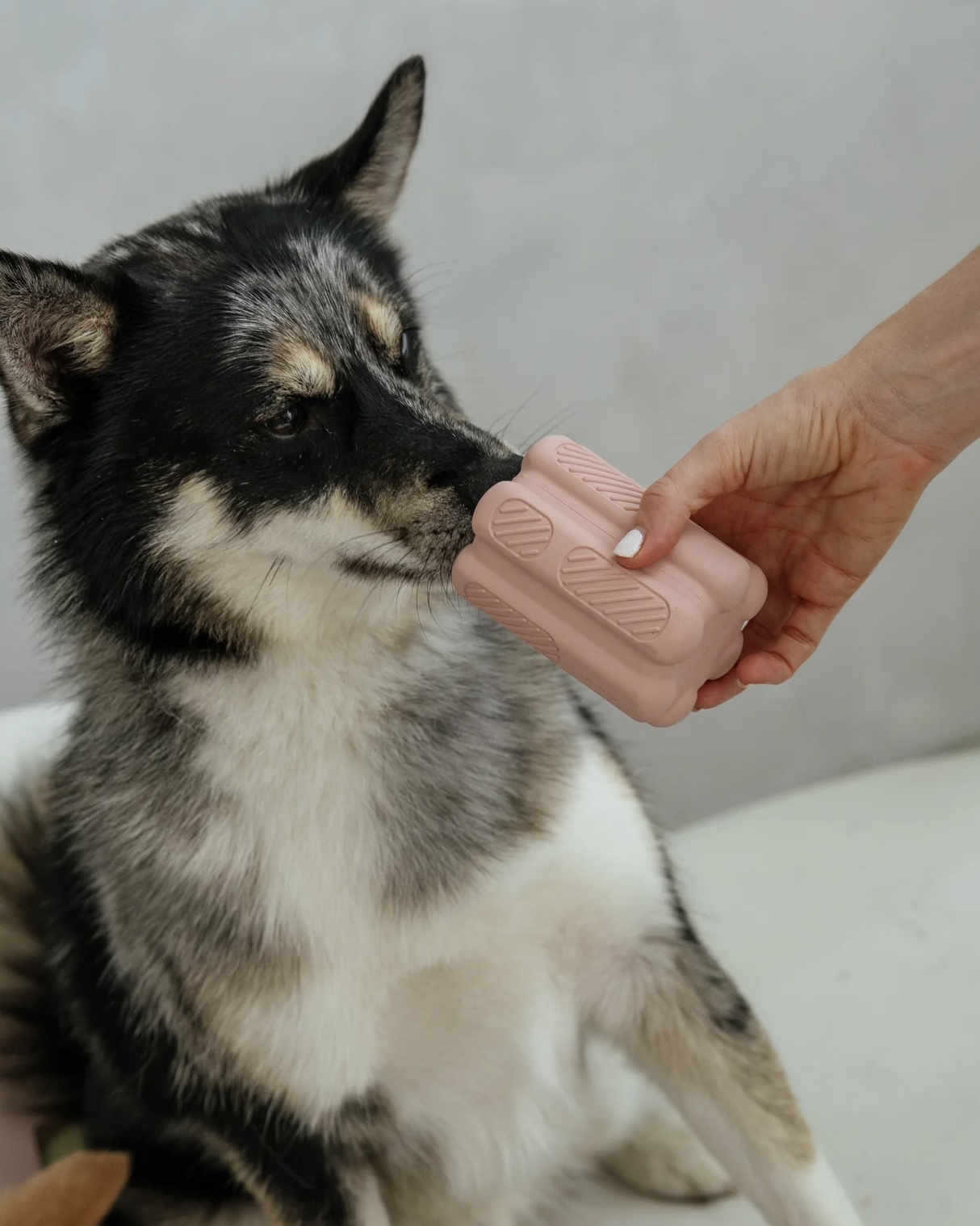 dexypaws Odolná plnící hračka pro psy růžová