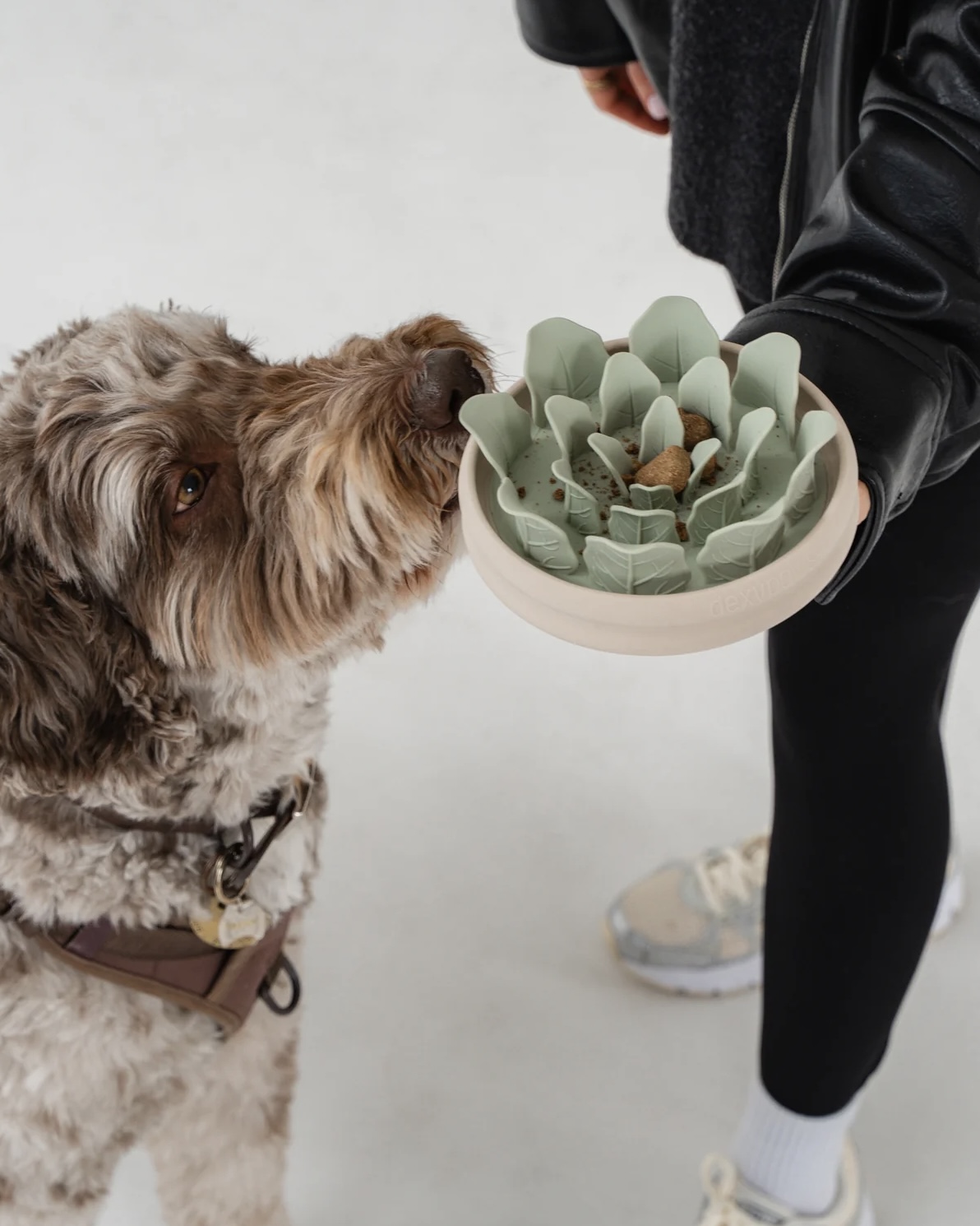 dexypaws Zpomalovací miska pro psy Planter