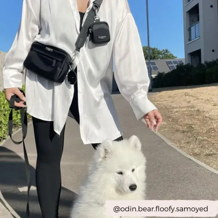 Cocopup Pamlskovník černý