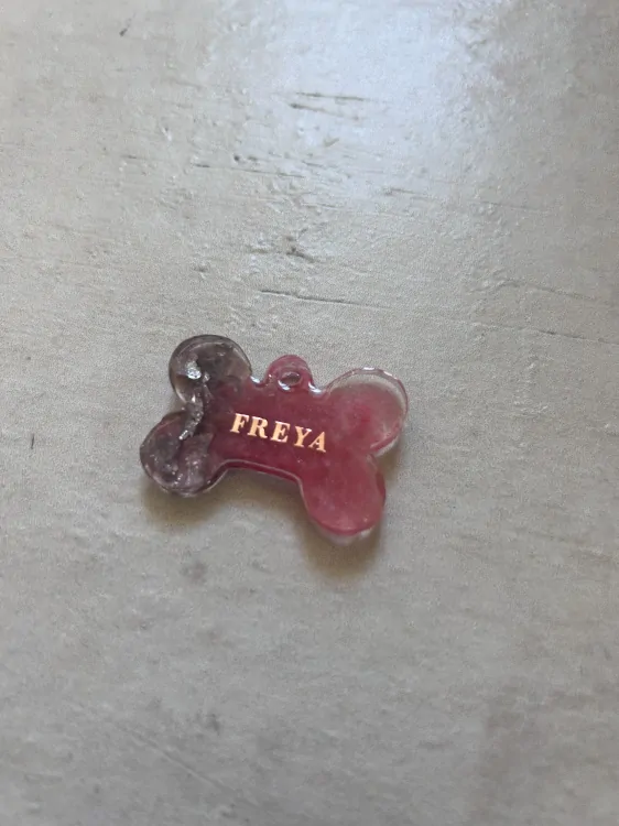 Psí známka se jménem psa Freya