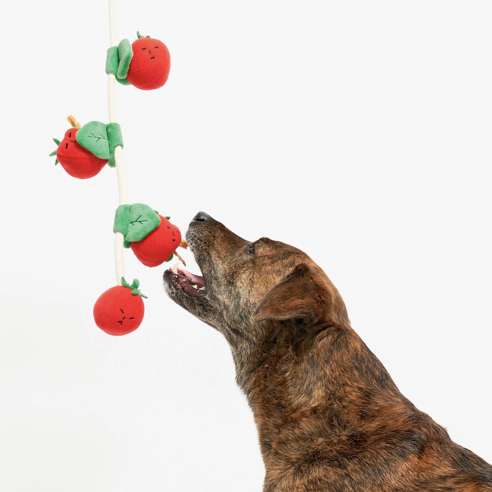 Furryfolks Interaktivní a provazová hračka pro psy Cherry rajčátka