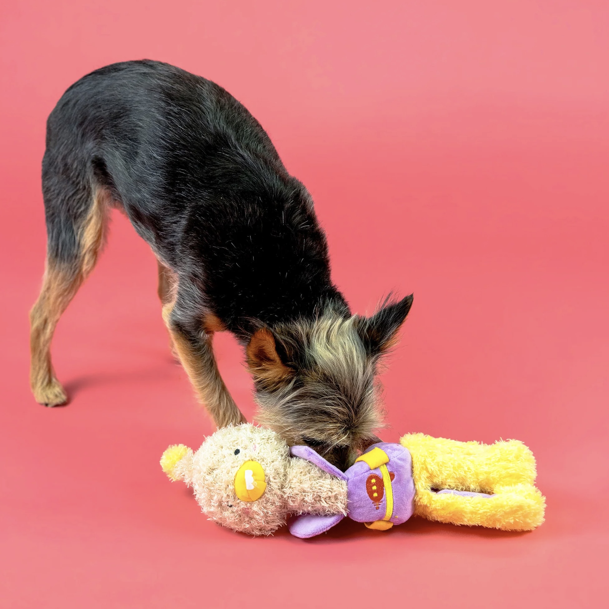 Furryfolks Interaktivní hračka pro psy pštros