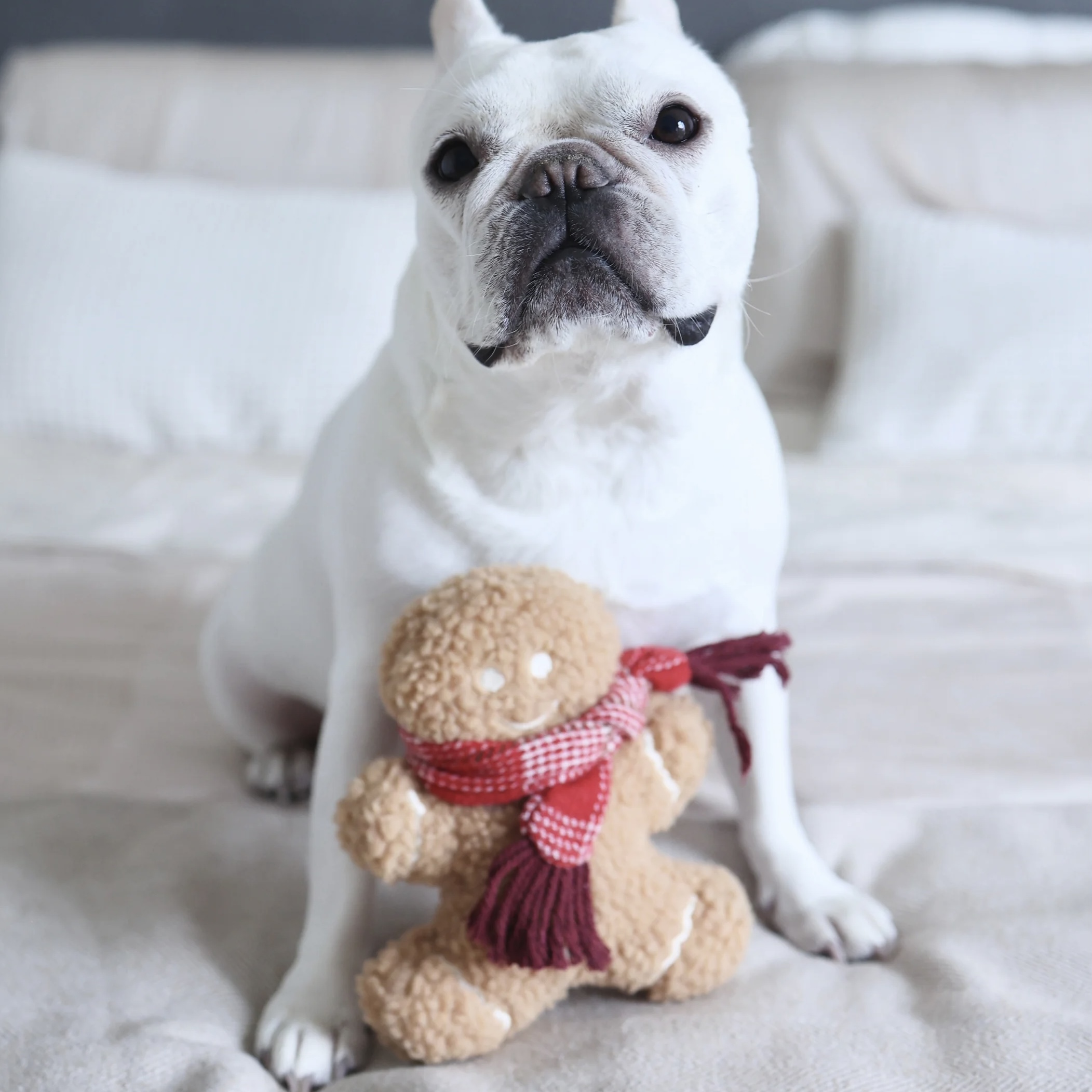 Lambwolf Hračka pro psy Mister Gingerbread