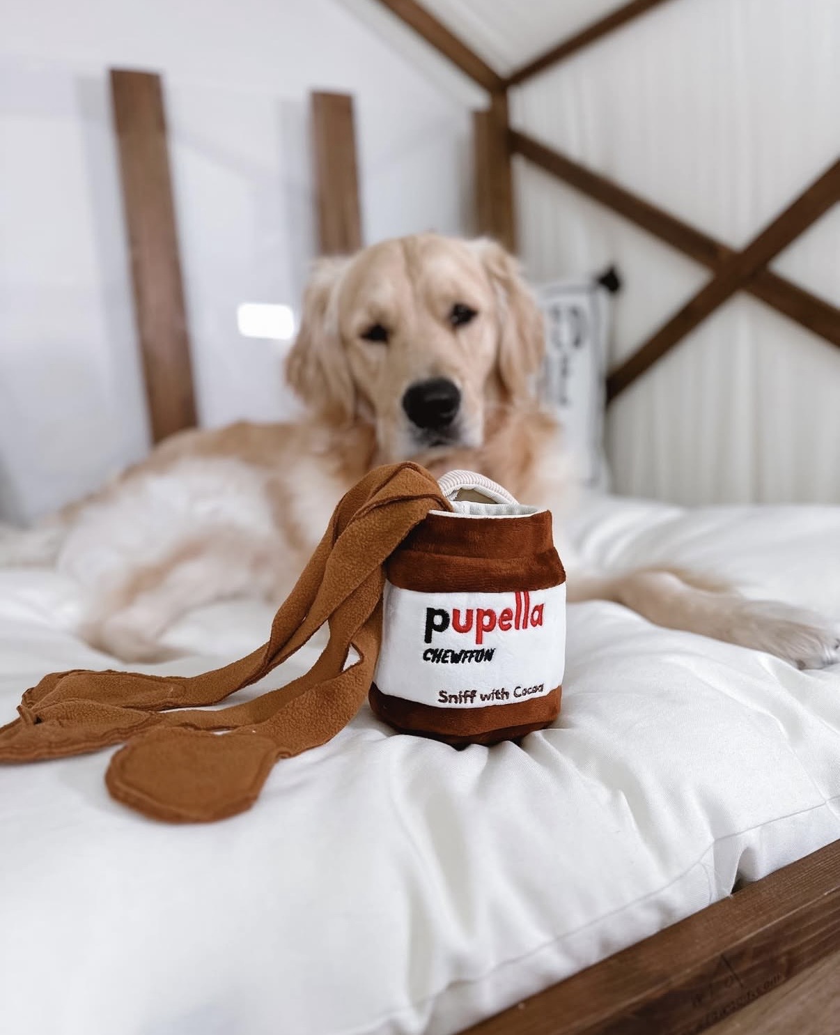 Chewffon Interaktivní hračka pro psy Pupella