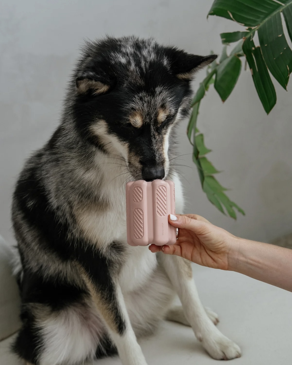 dexypaws Odolná plnící hračka pro psy růžová
