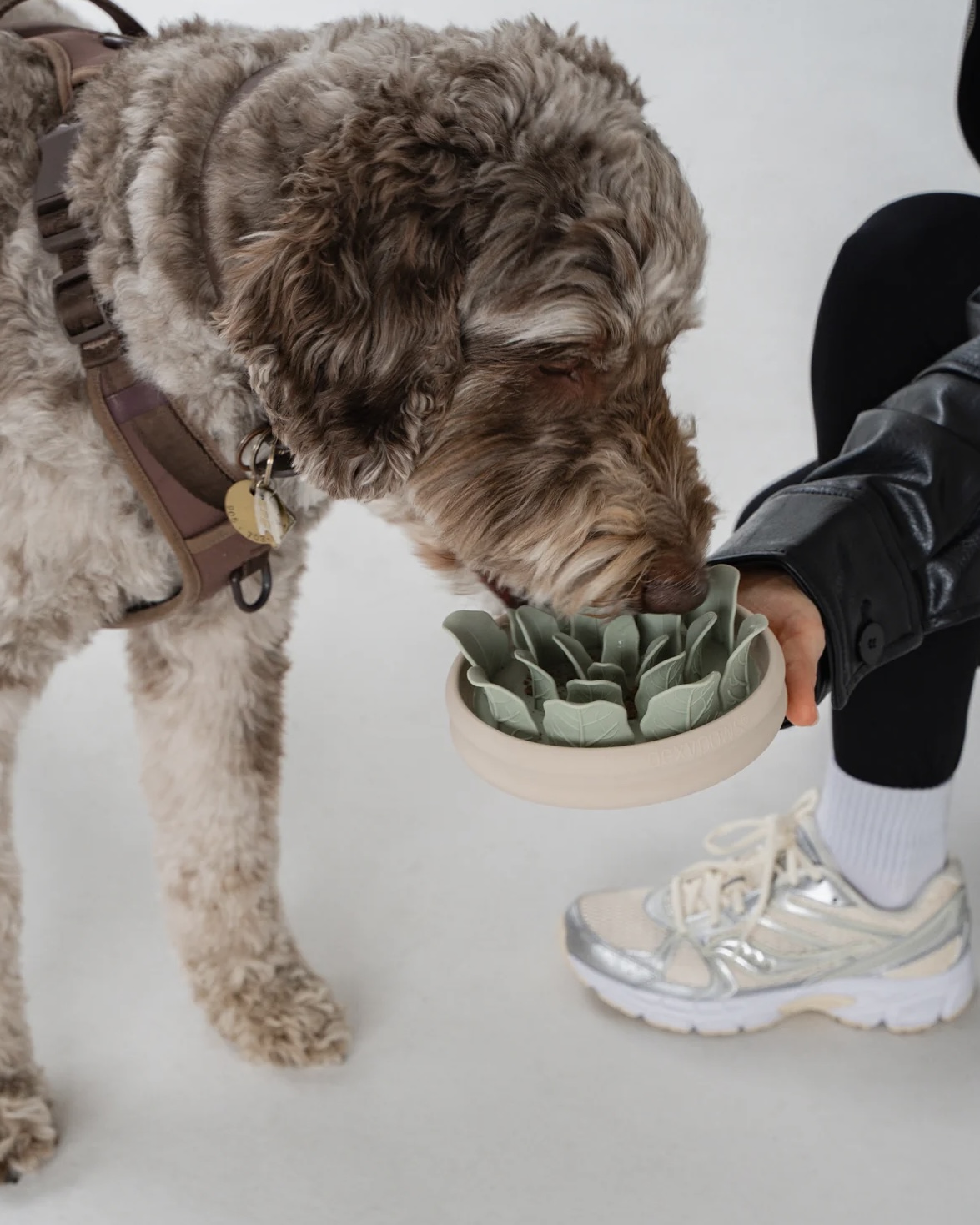 dexypaws Zpomalovací miska pro psy Planter