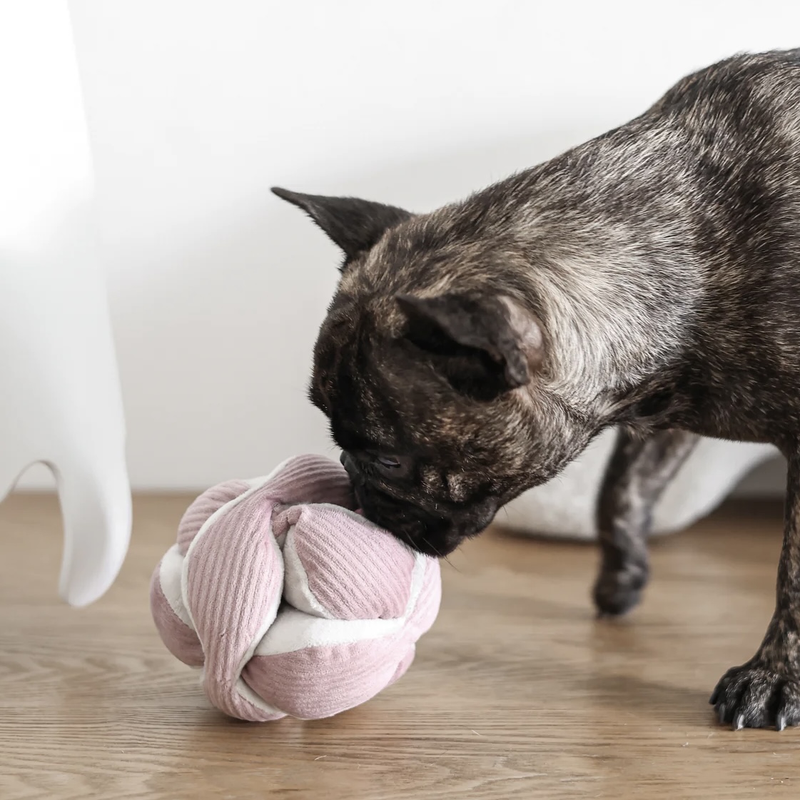 Lambwolf Interaktivní hračka pro psy Monti malá růžová