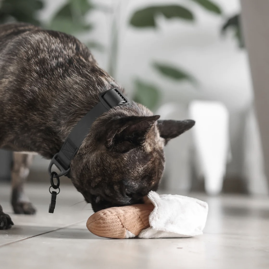 Lambwolf Interaktivní hračka pro psy Mini Bageta