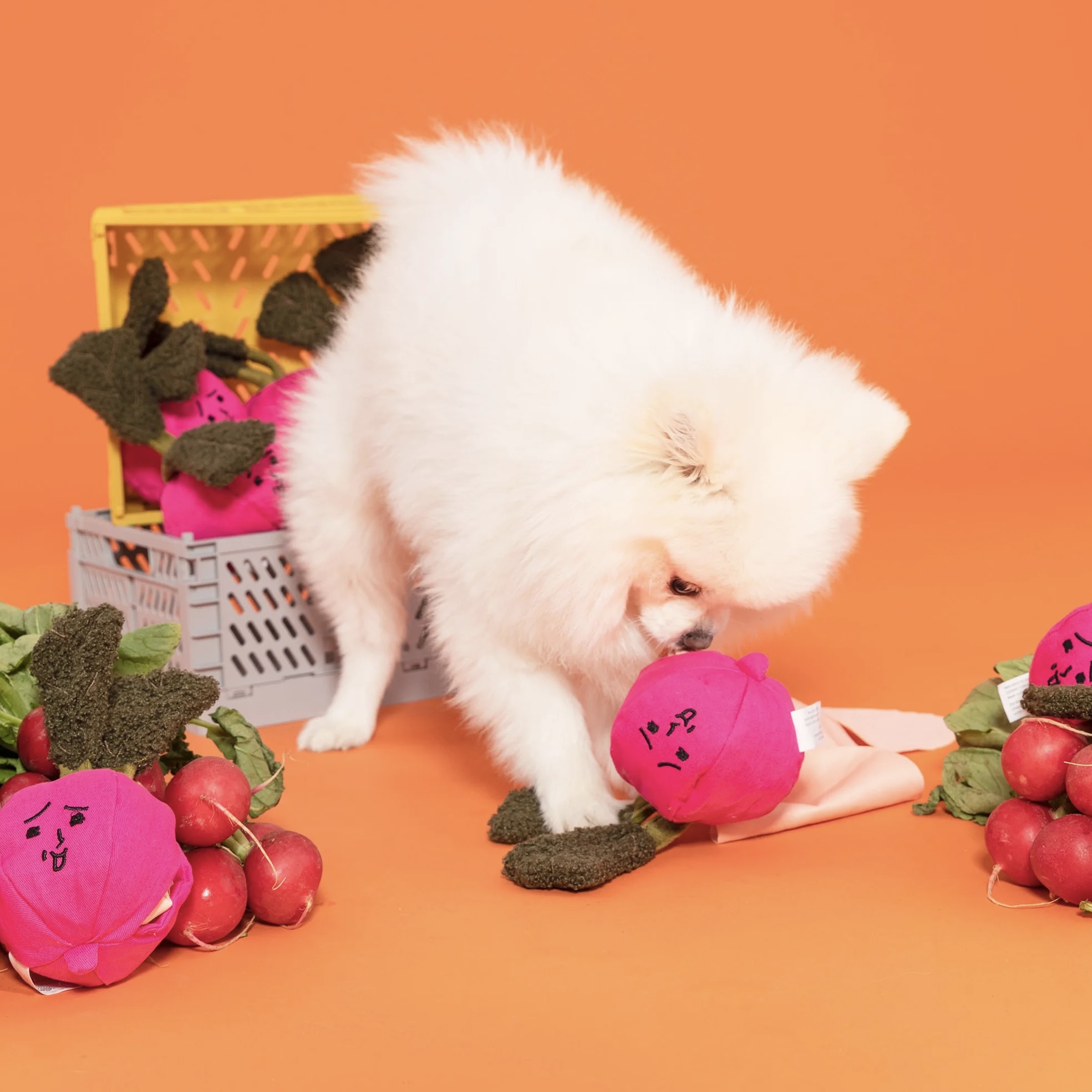 Furryfolks Interaktivní hračka pro psy Ředkev