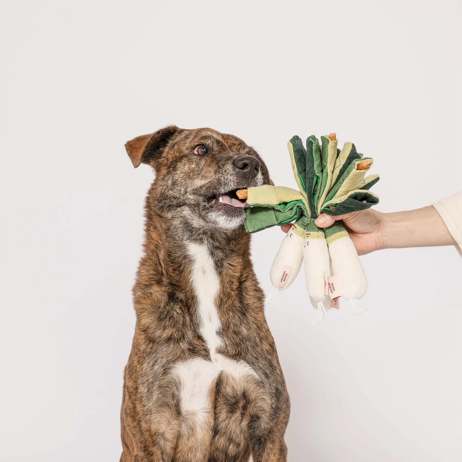 Furryfolks Interaktivní hračka pro psy pórek