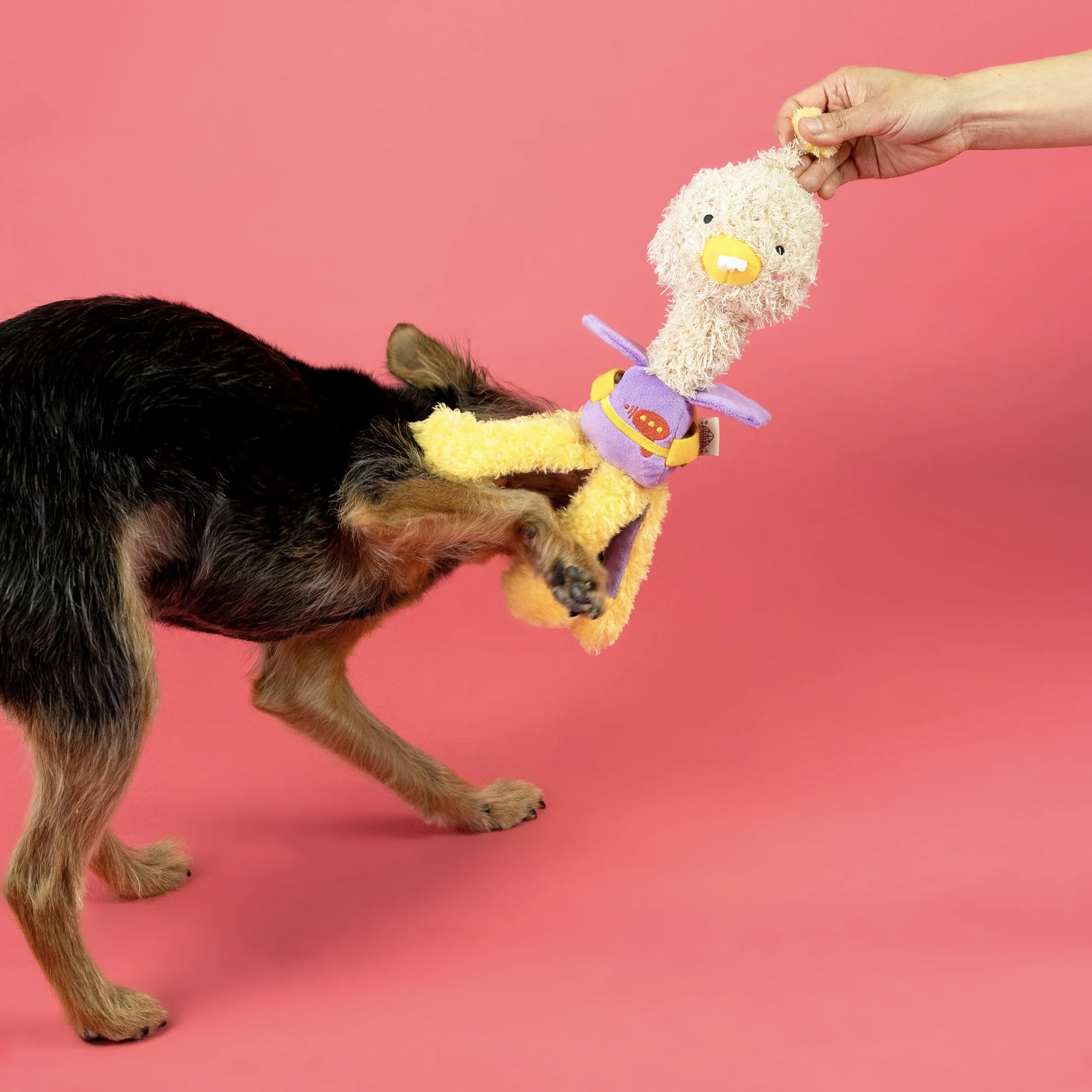 Furryfolks Interaktivní hračka pro psy pštros