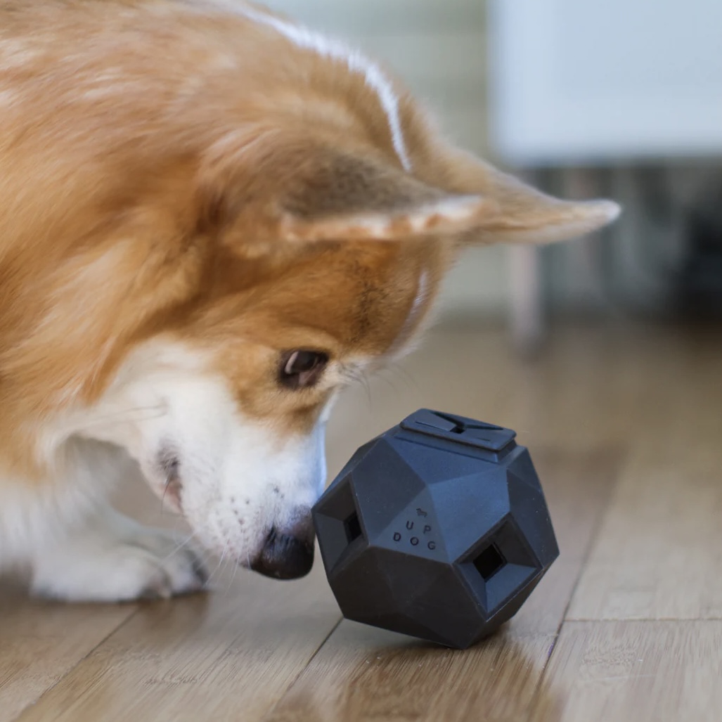 Up Dog Shop Interaktivní hračka pro psy Odin černá
