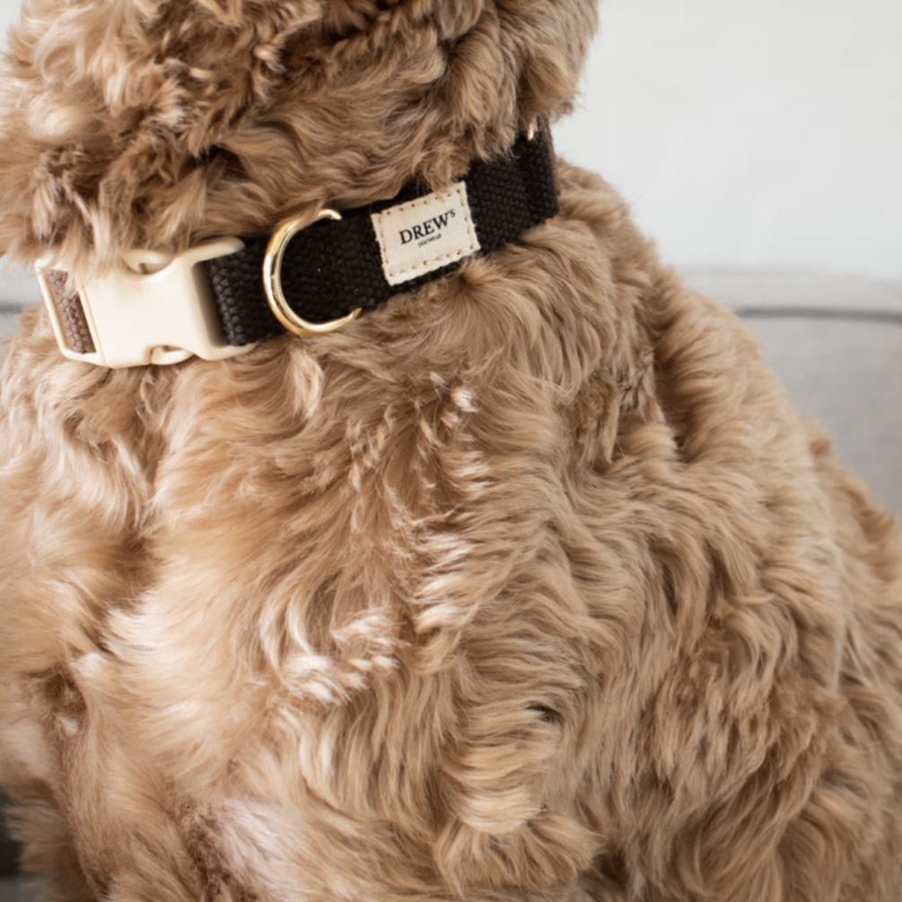 Drew’s Dogwear Obojek pro psa Chocolate