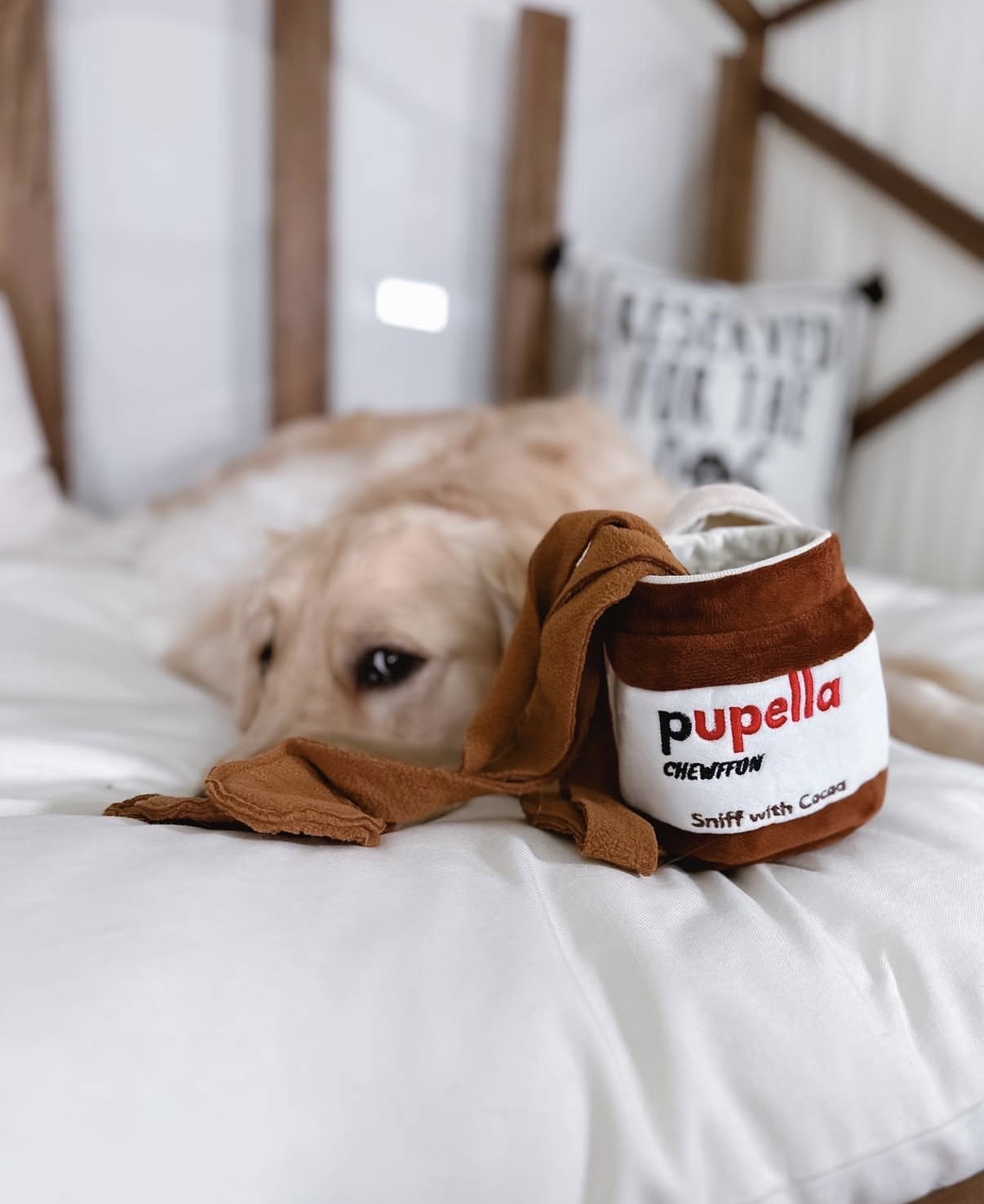 Chewffon Interaktivní hračka pro psy Pupella