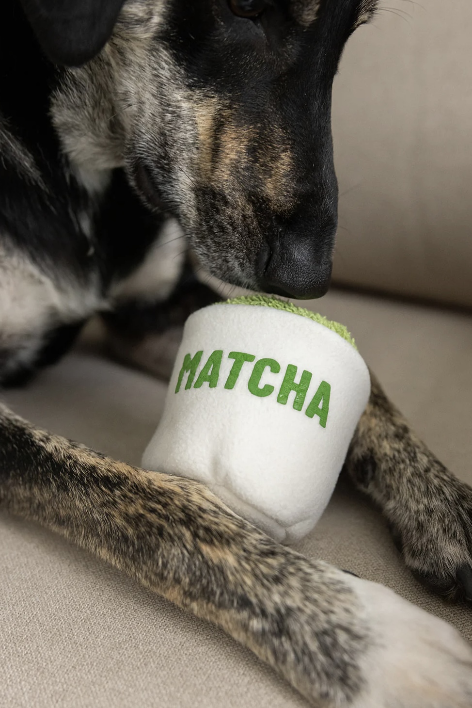 Lieblingspfote Hračka pro psy Matcha