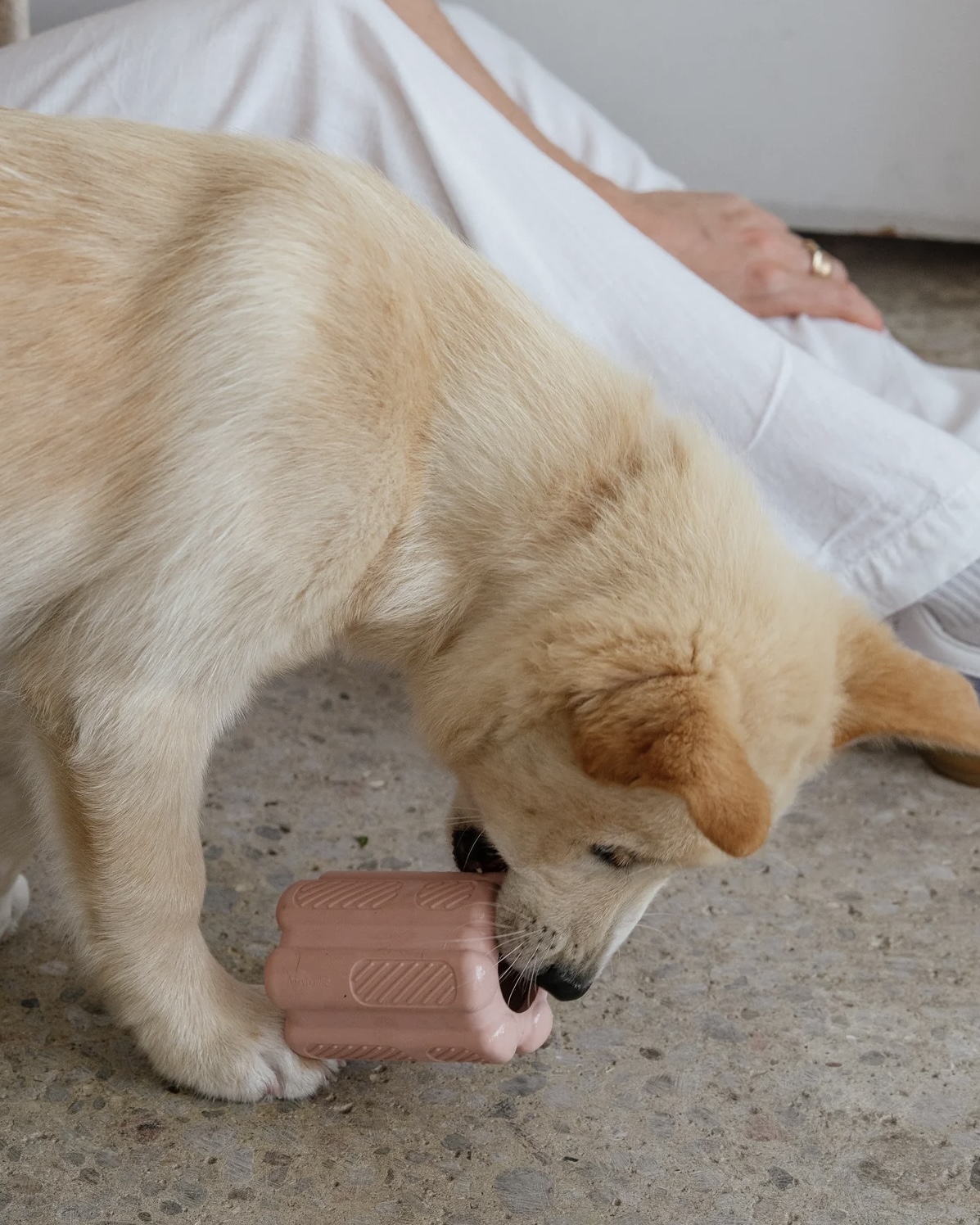 dexypaws Odolná plnící hračka pro psy růžová