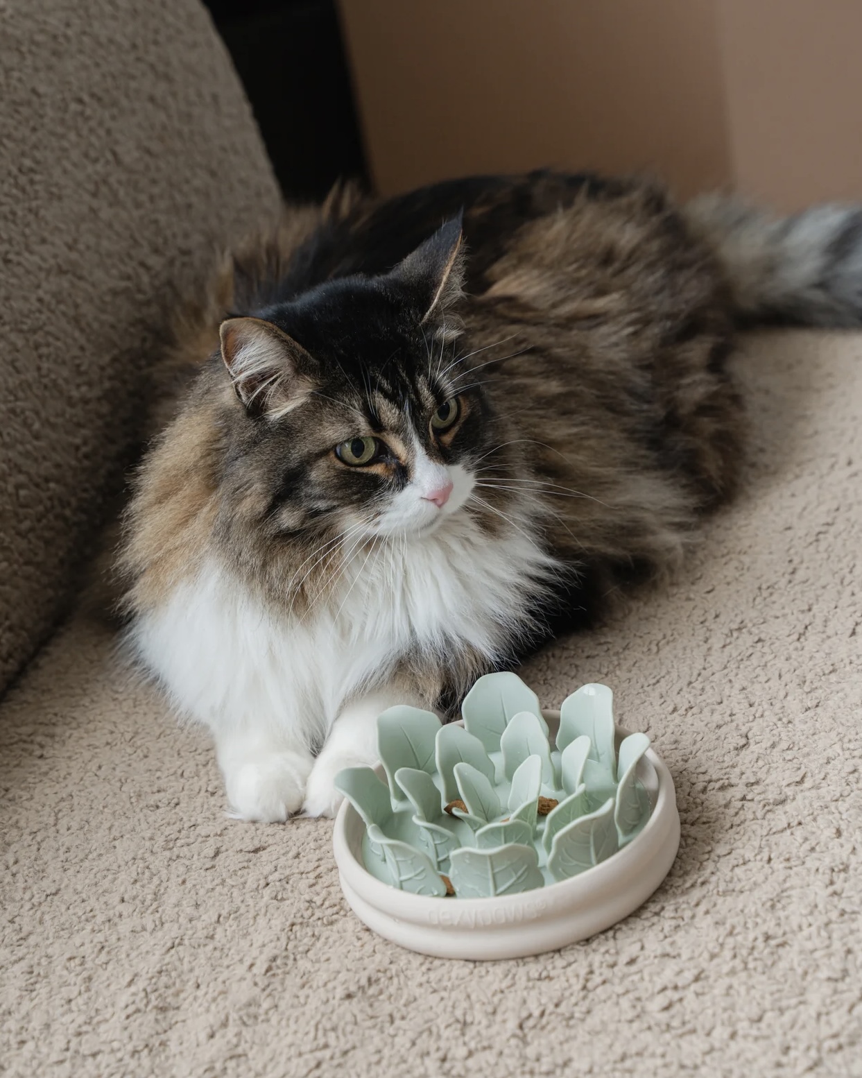 dexypaws Zpomalovací miska pro psy Planter