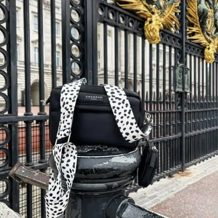 Cocopup Pamlskovník černý