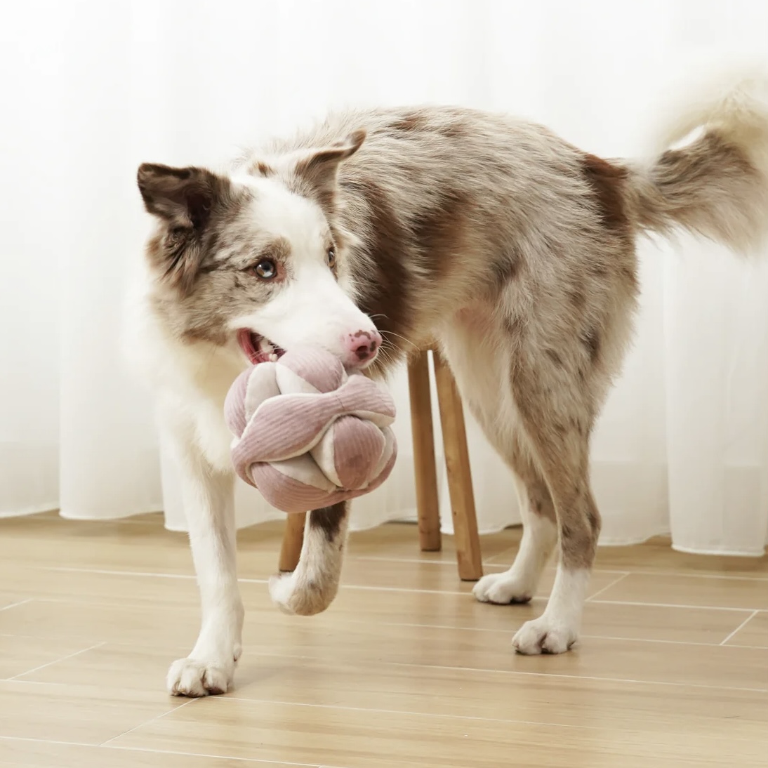 Lambwolf Interaktivní hračka pro psy Monti malá růžová