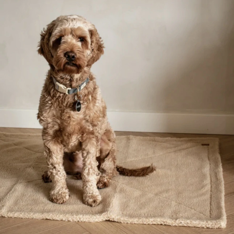 Drew’s Dogwear Měkká deka pro psy teddy fleece
