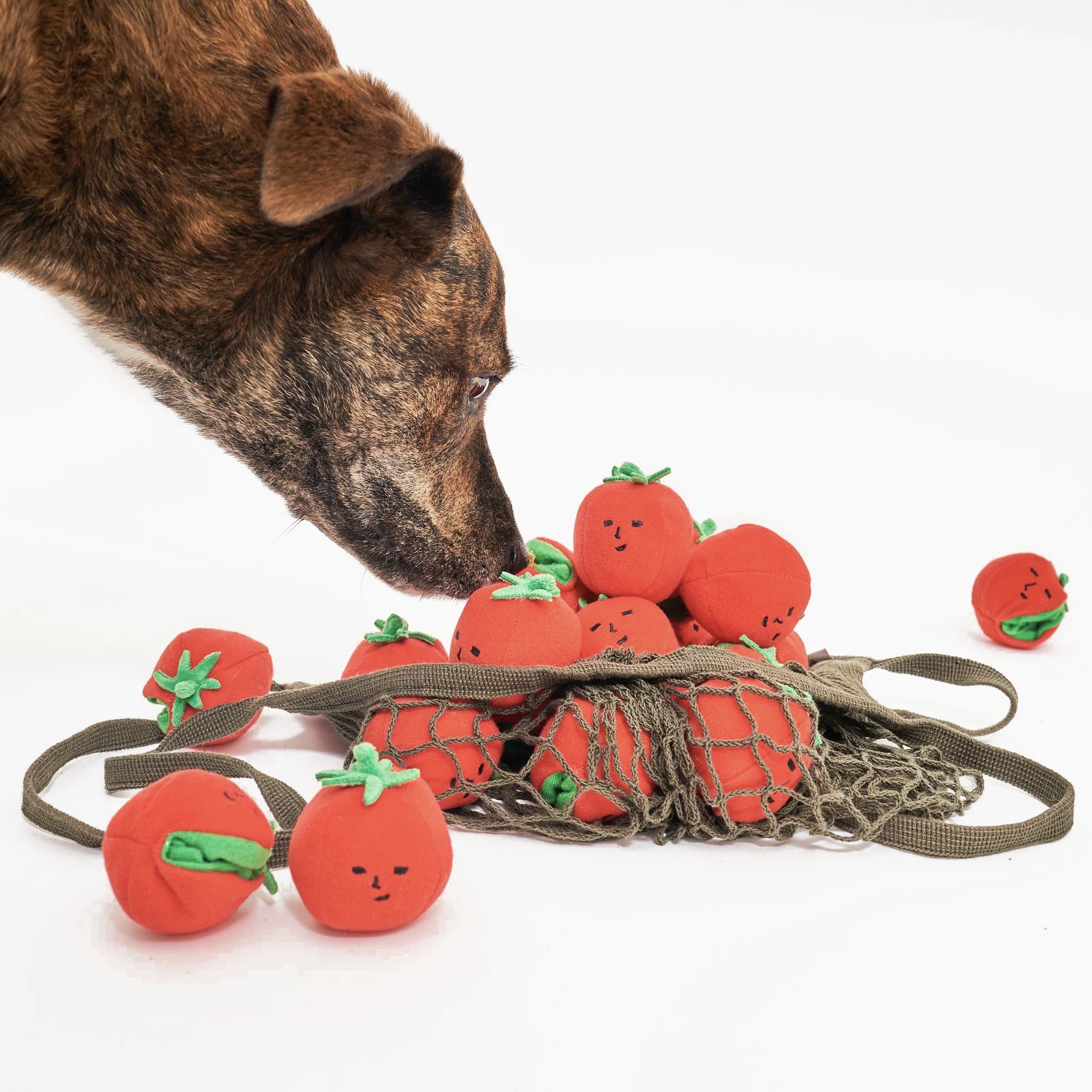 Furryfolks Interaktivní a provazová hračka pro psy Cherry rajčátka
