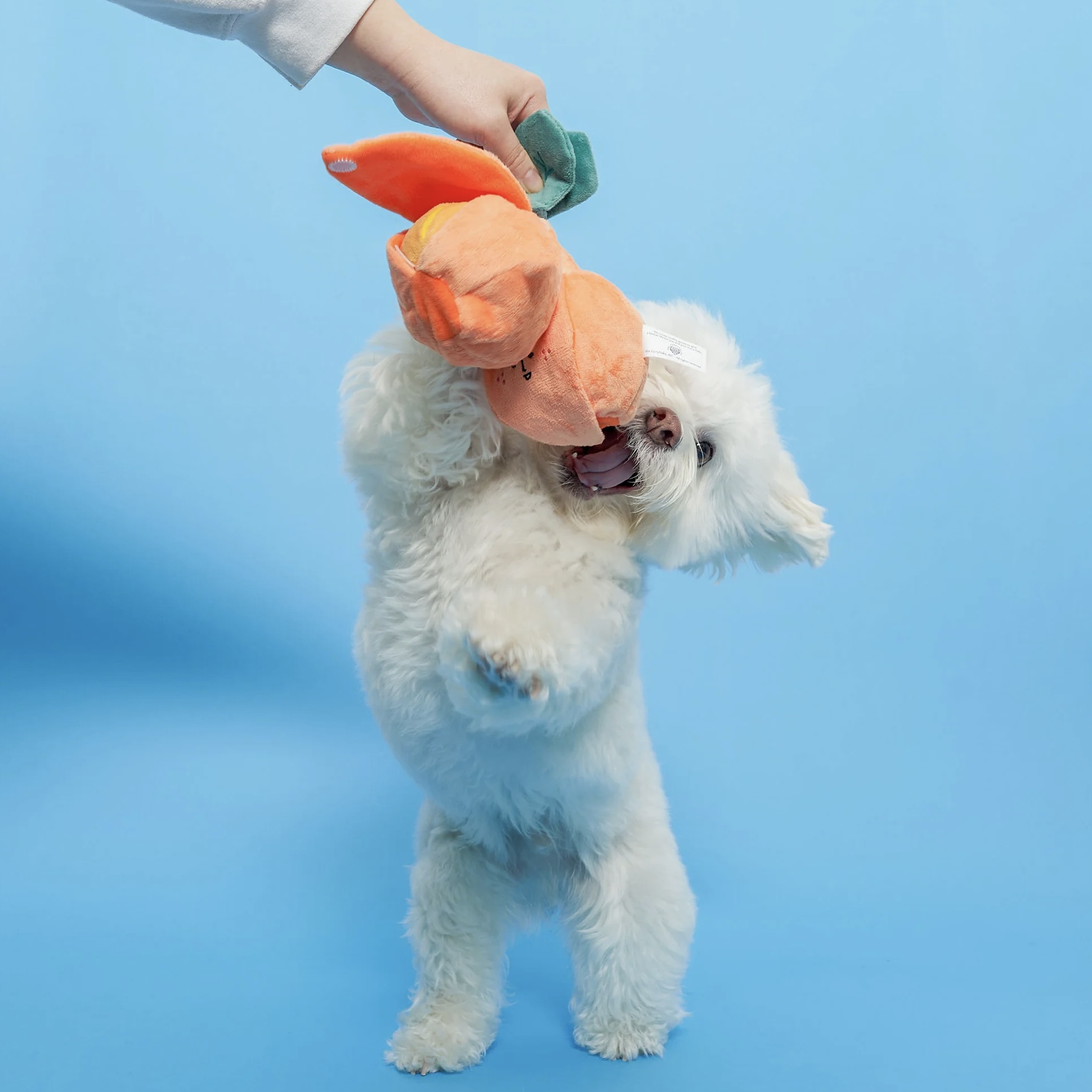 Furryfolks Interaktivní hračka pro psy Pomeranč