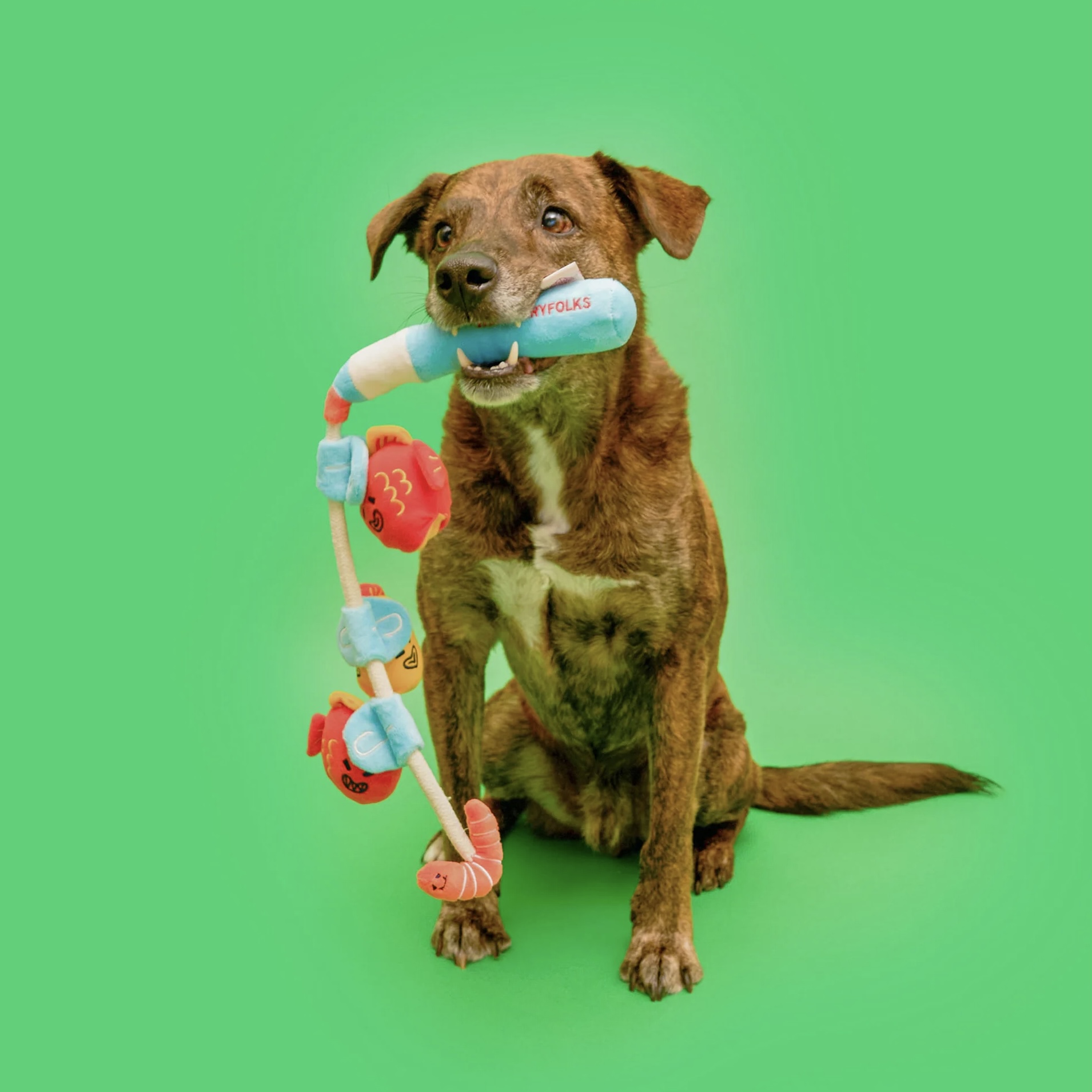 Furryfolks Interaktivní a přetahovací hračka pro psy Rybaření