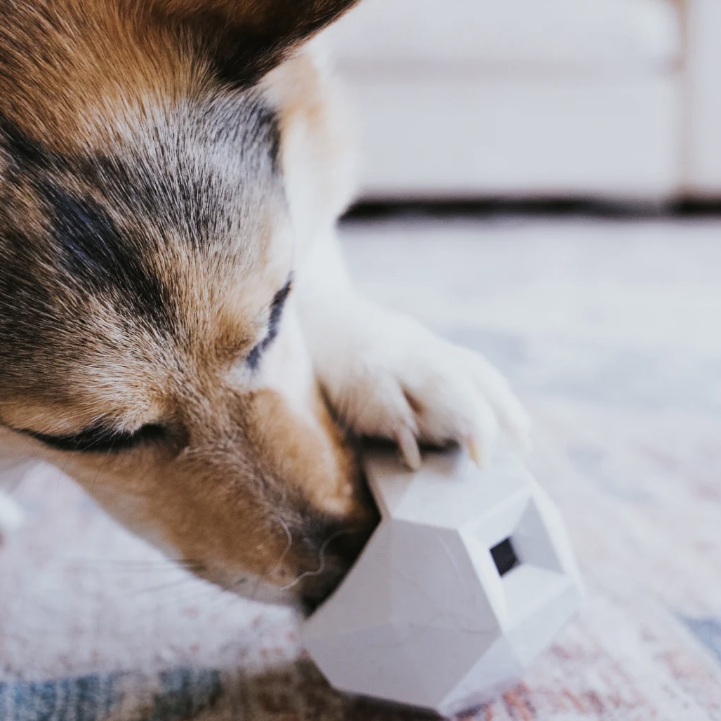 Up Dog Shop Interaktivní hračka pro psy Odin šedá