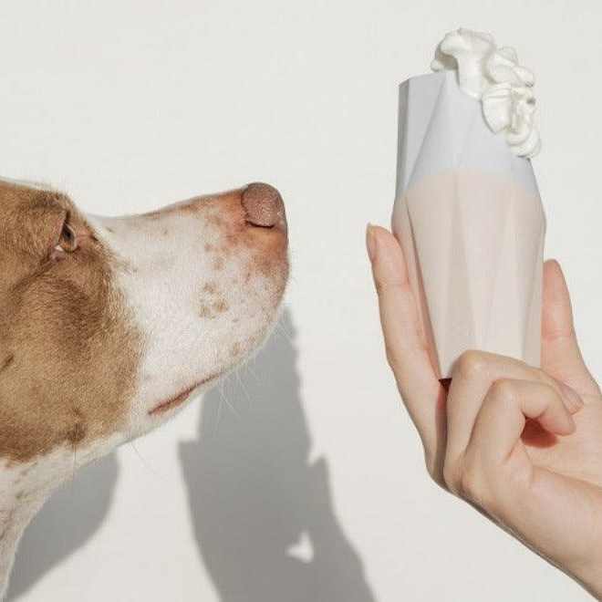 Up Dog Shop Interaktivní hračka pro psy Ubbe