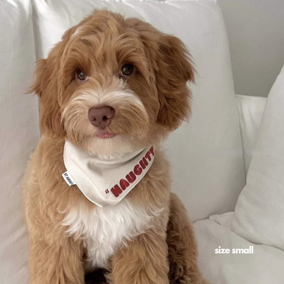 Vánoční šátek pro psy naughty nice