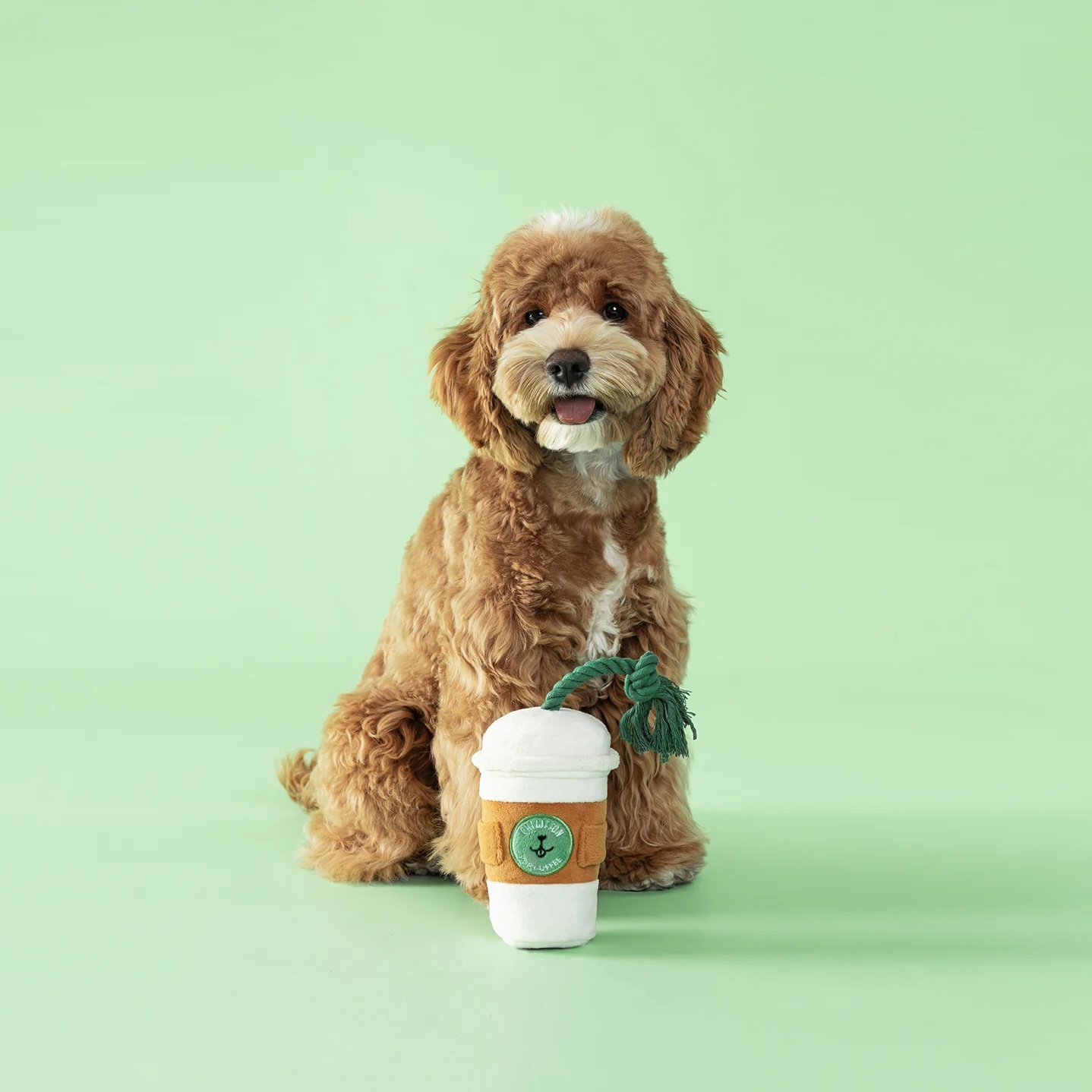 Chewffon Interaktivní hračka pro psy Pupcoffee