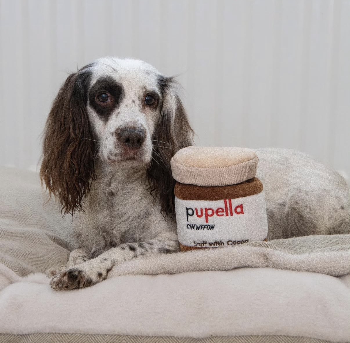 Chewffon Interaktivní hračka pro psy Pupella