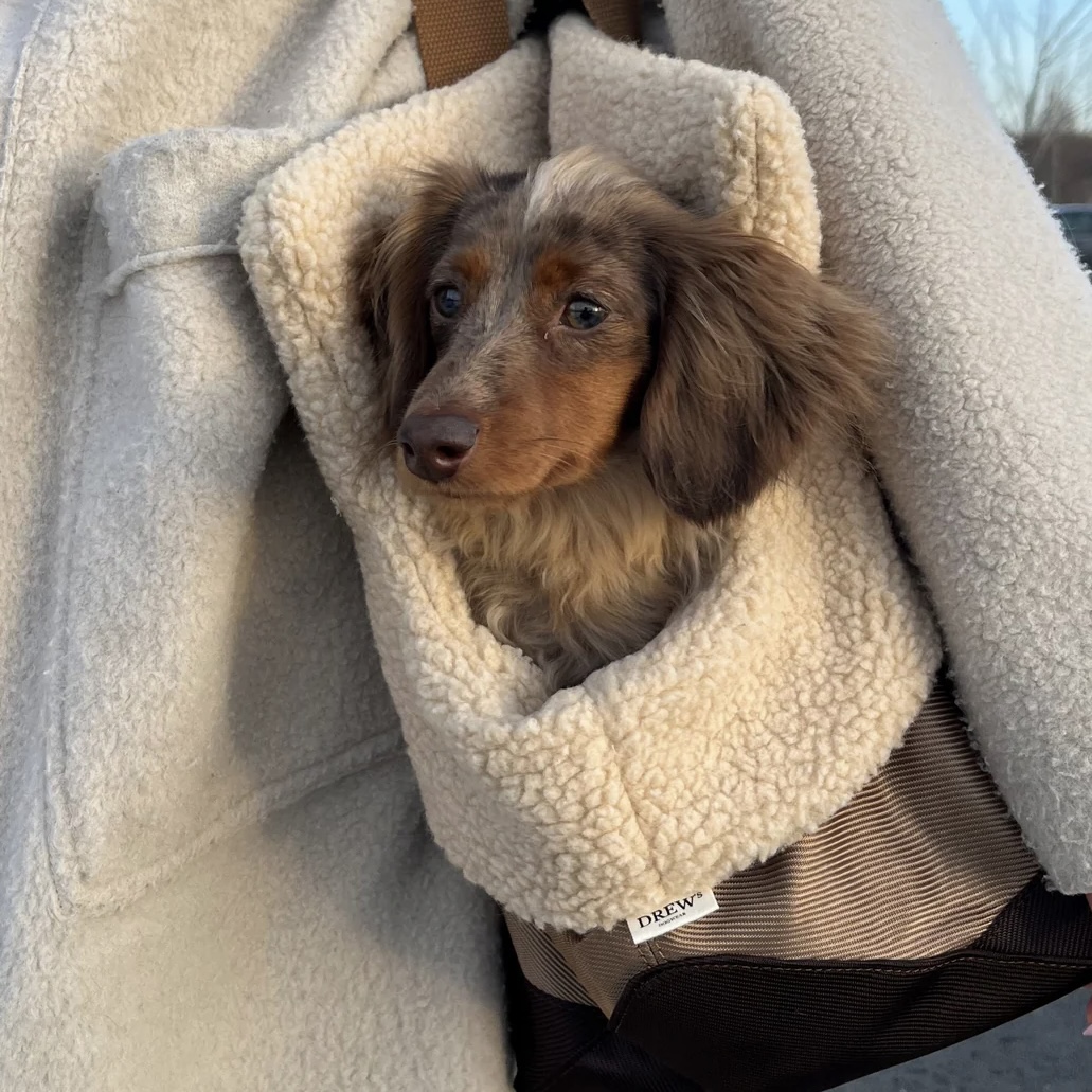 Drew’s Dogwear Taška pro psa Aspen