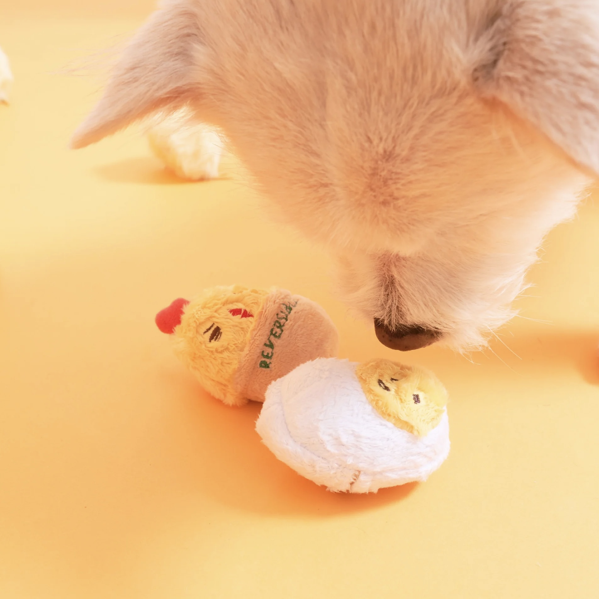 Furryfolks Interaktivní hračka pro psy Plato vajíček