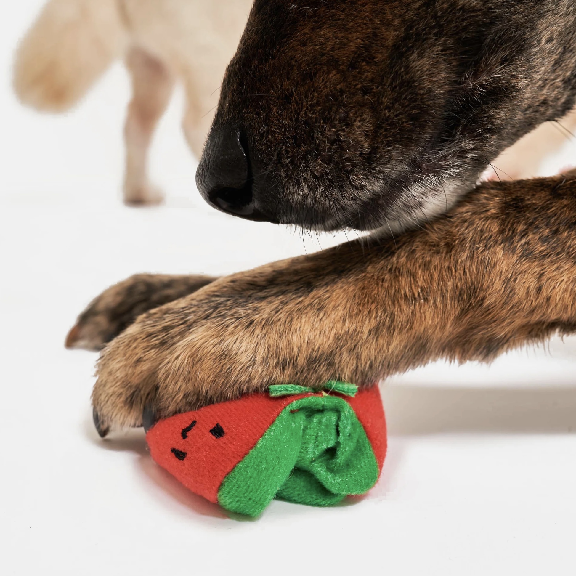 Furryfolks Interaktivní a provazová hračka pro psy Cherry rajčátka