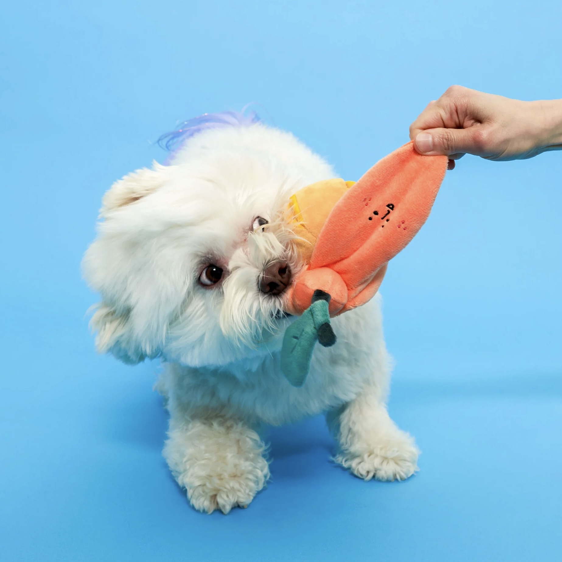 Furryfolks Interaktivní hračka pro psy Pomeranč