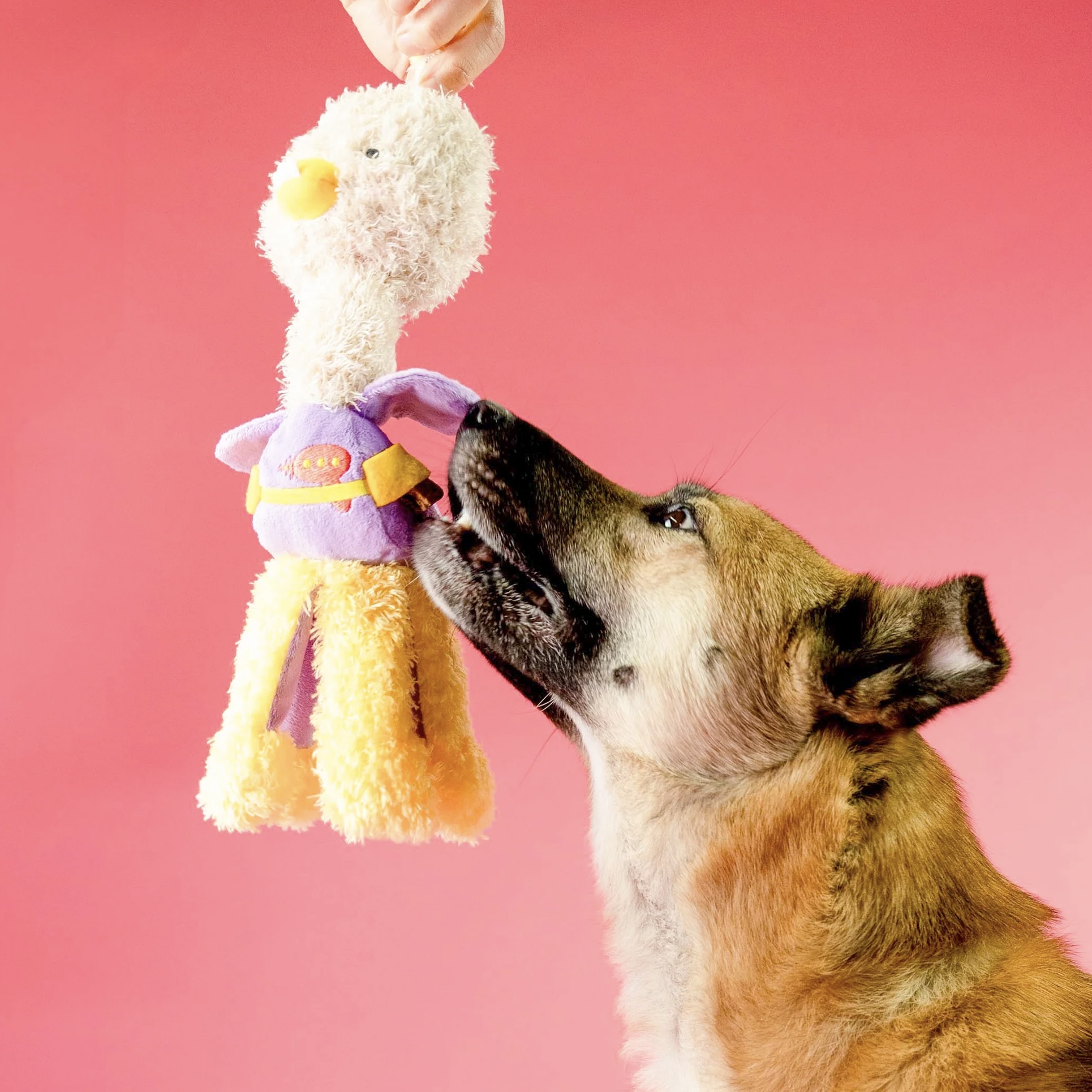 Furryfolks Interaktivní hračka pro psy pštros