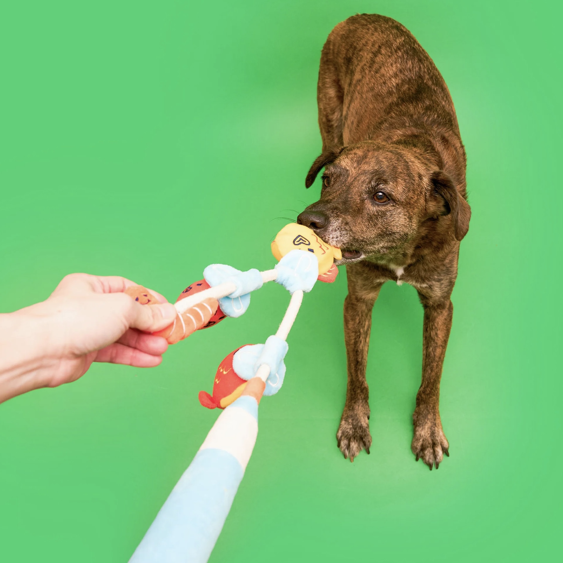 Furryfolks Interaktivní a přetahovací hračka pro psy Rybaření