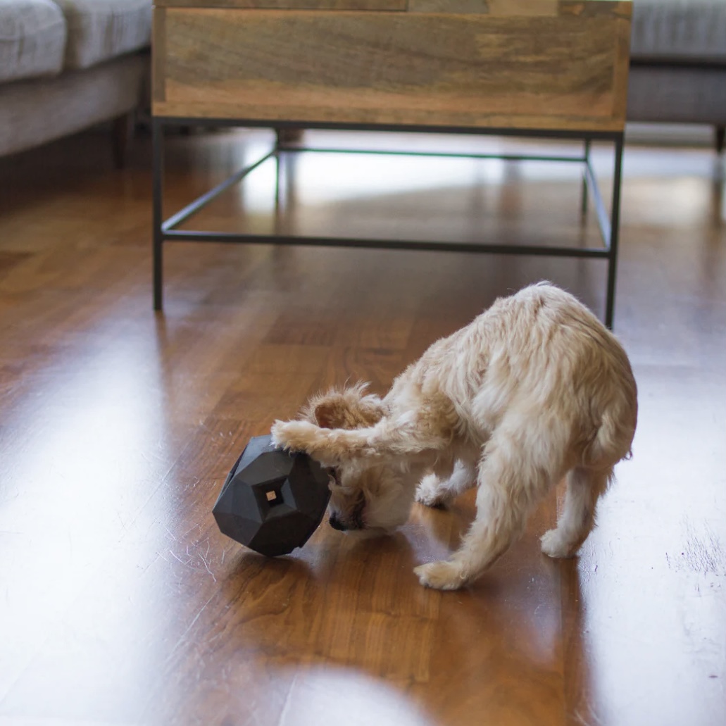 Up Dog Shop Interaktivní hračka pro psy Odin šedá