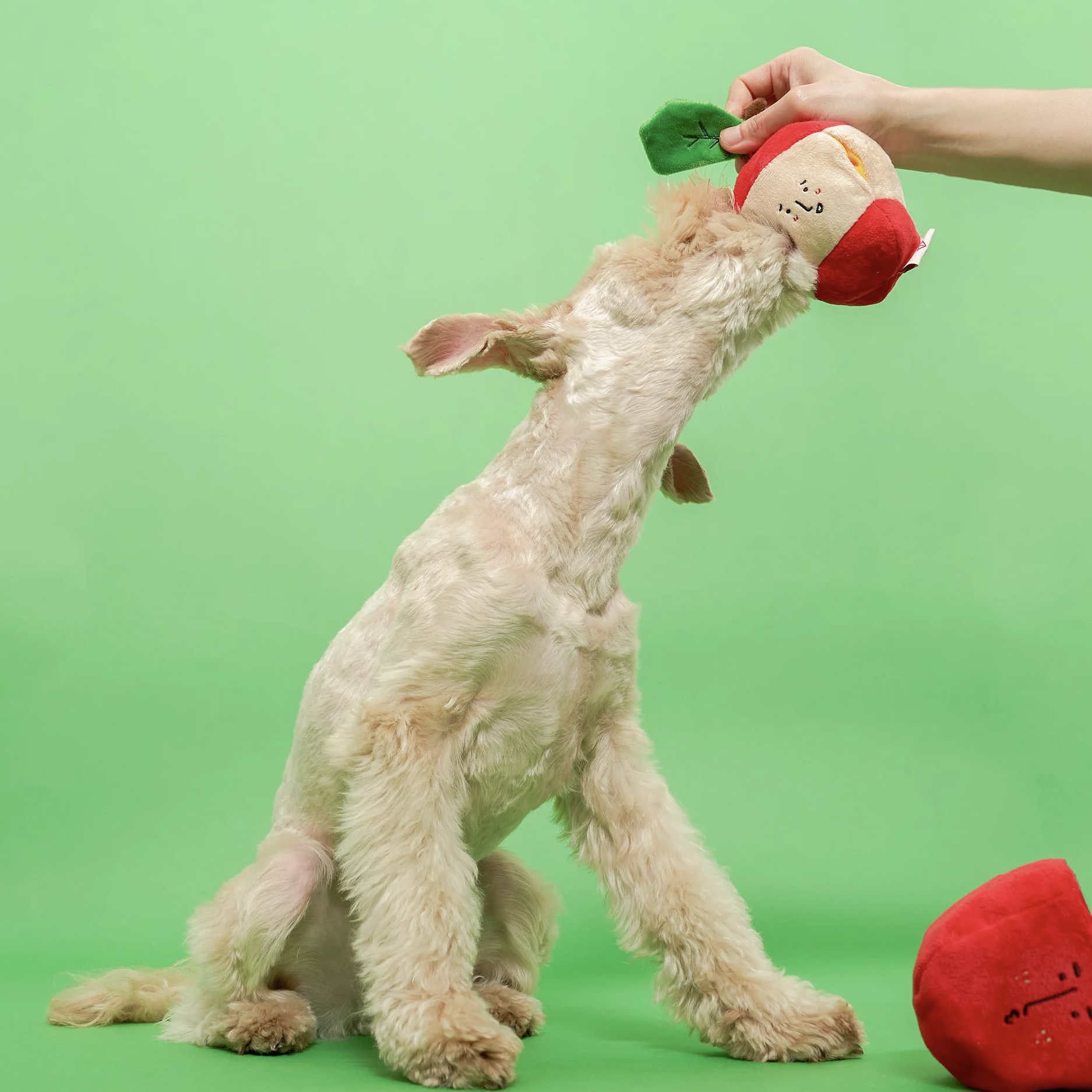 Furryfolks Interaktivní hračka pro psy jablko