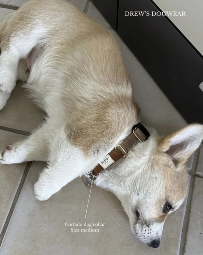 Drew’s Dogwear Cortado obojek pro psa béžovo hnědý