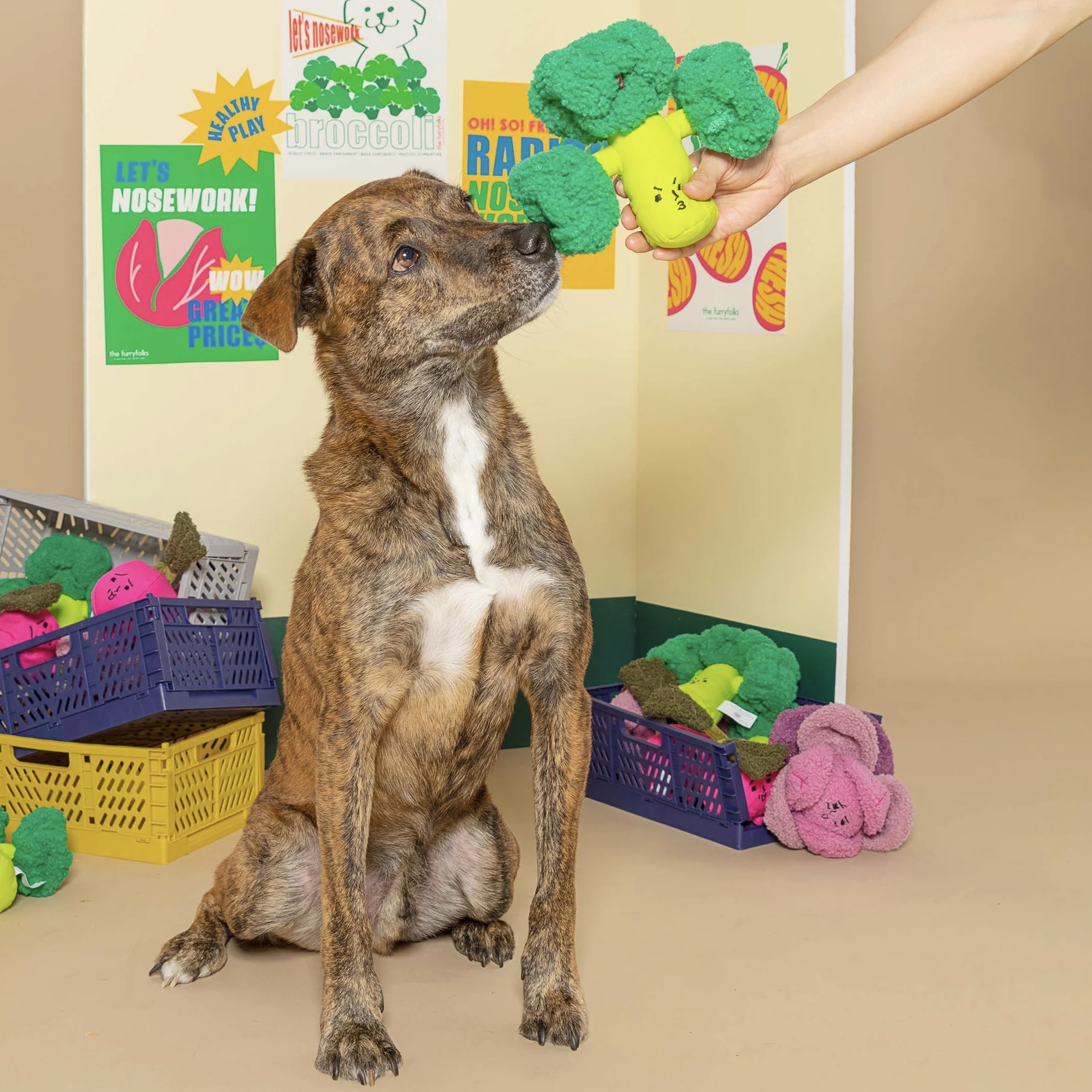 Furryfolks Interaktivní hračka pro psy Brokolice